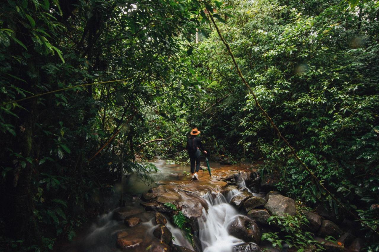 La Tigra Rainforest Lodge La Fortuna Ngoại thất bức ảnh