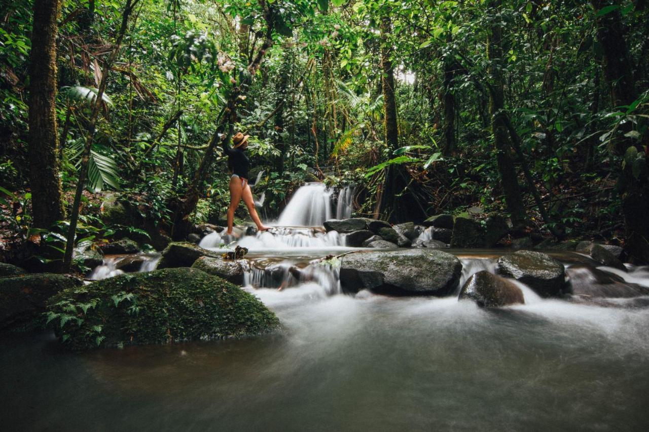 La Tigra Rainforest Lodge La Fortuna Ngoại thất bức ảnh