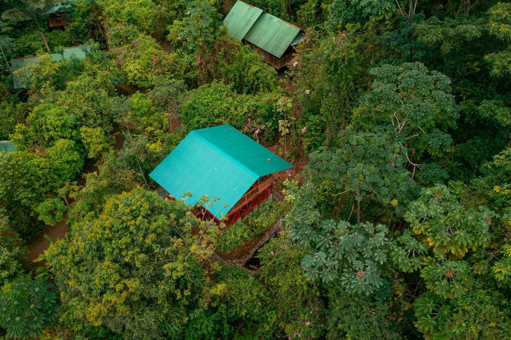 La Tigra Rainforest Lodge La Fortuna Ngoại thất bức ảnh