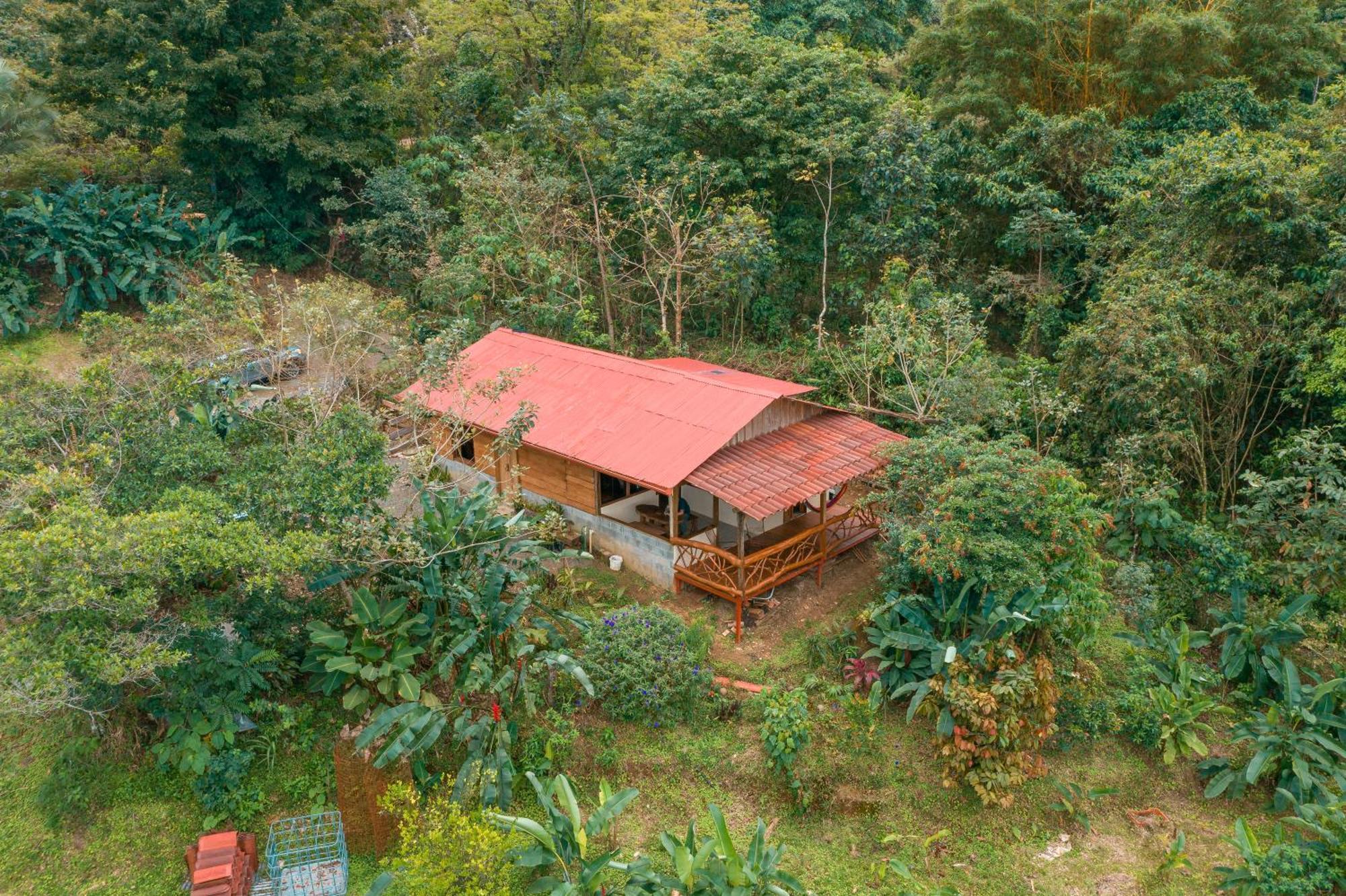 La Tigra Rainforest Lodge La Fortuna Ngoại thất bức ảnh