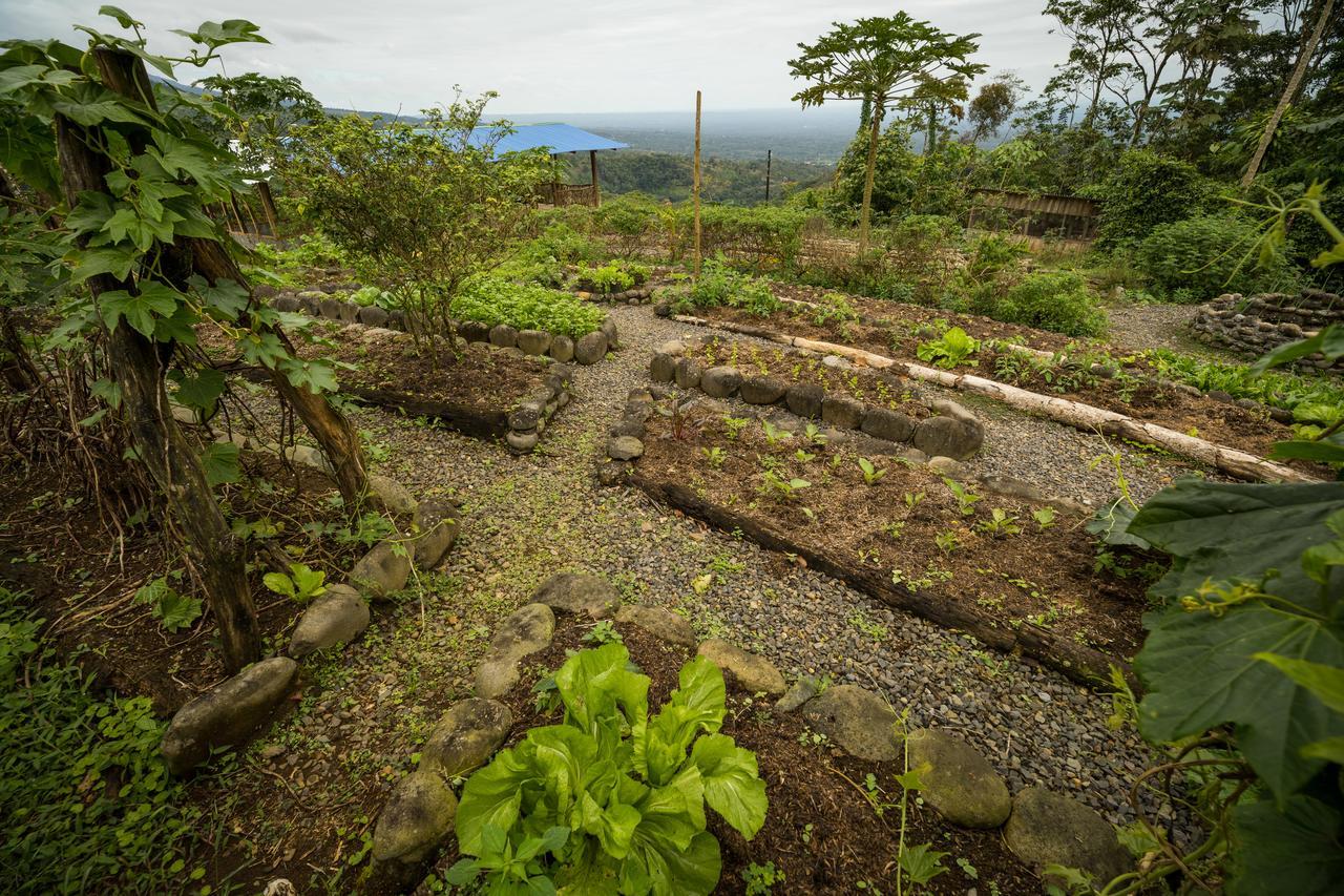 La Tigra Rainforest Lodge La Fortuna Ngoại thất bức ảnh