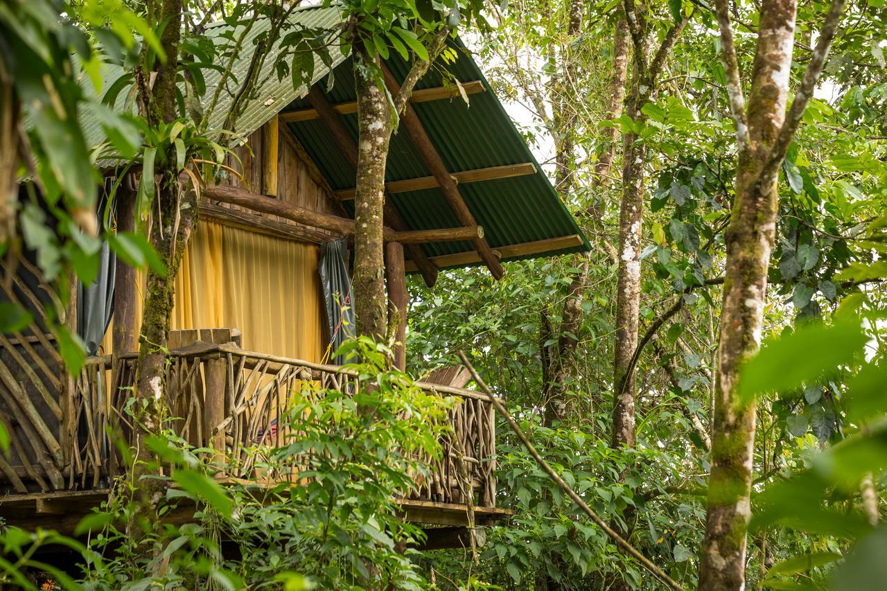 La Tigra Rainforest Lodge La Fortuna Ngoại thất bức ảnh