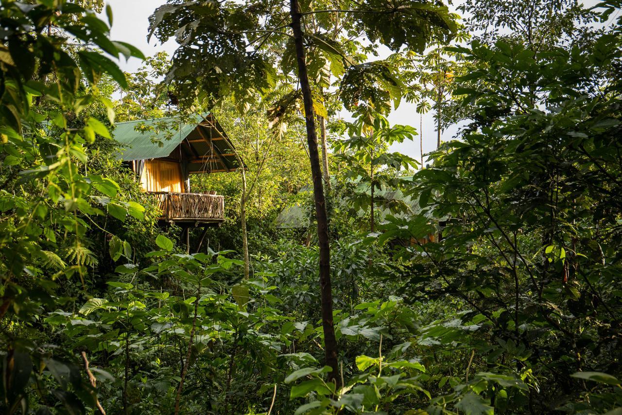 La Tigra Rainforest Lodge La Fortuna Ngoại thất bức ảnh